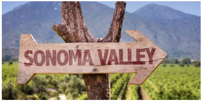 Calistoga Airport Shuttle – Comfortable Airport Transportation in Napa Valley Calistoga Airport Shuttle providing reliable transportation through Napa Valley vineyards
